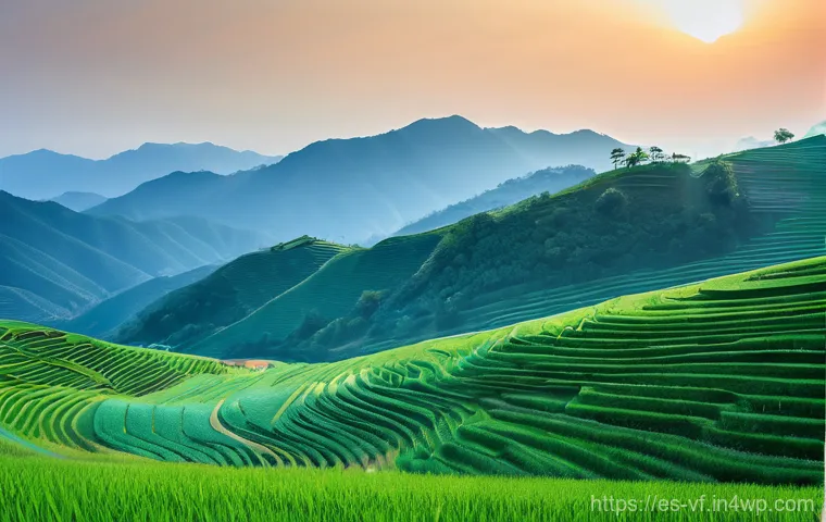 생태적 감수성 교육의 평가 방법 이미지 2