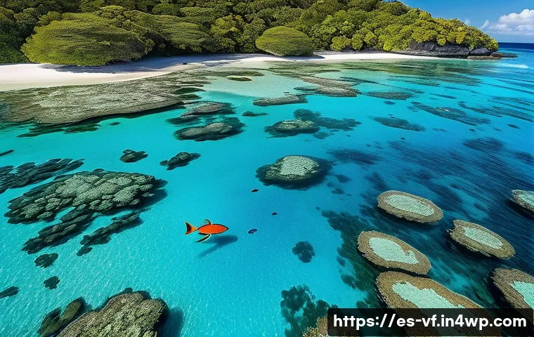 생태적 감수성을 위한 국제적 연대 사례 - A vibrant underwater scene of a protected marine reserve in the South Pacific, featuring colorful co...